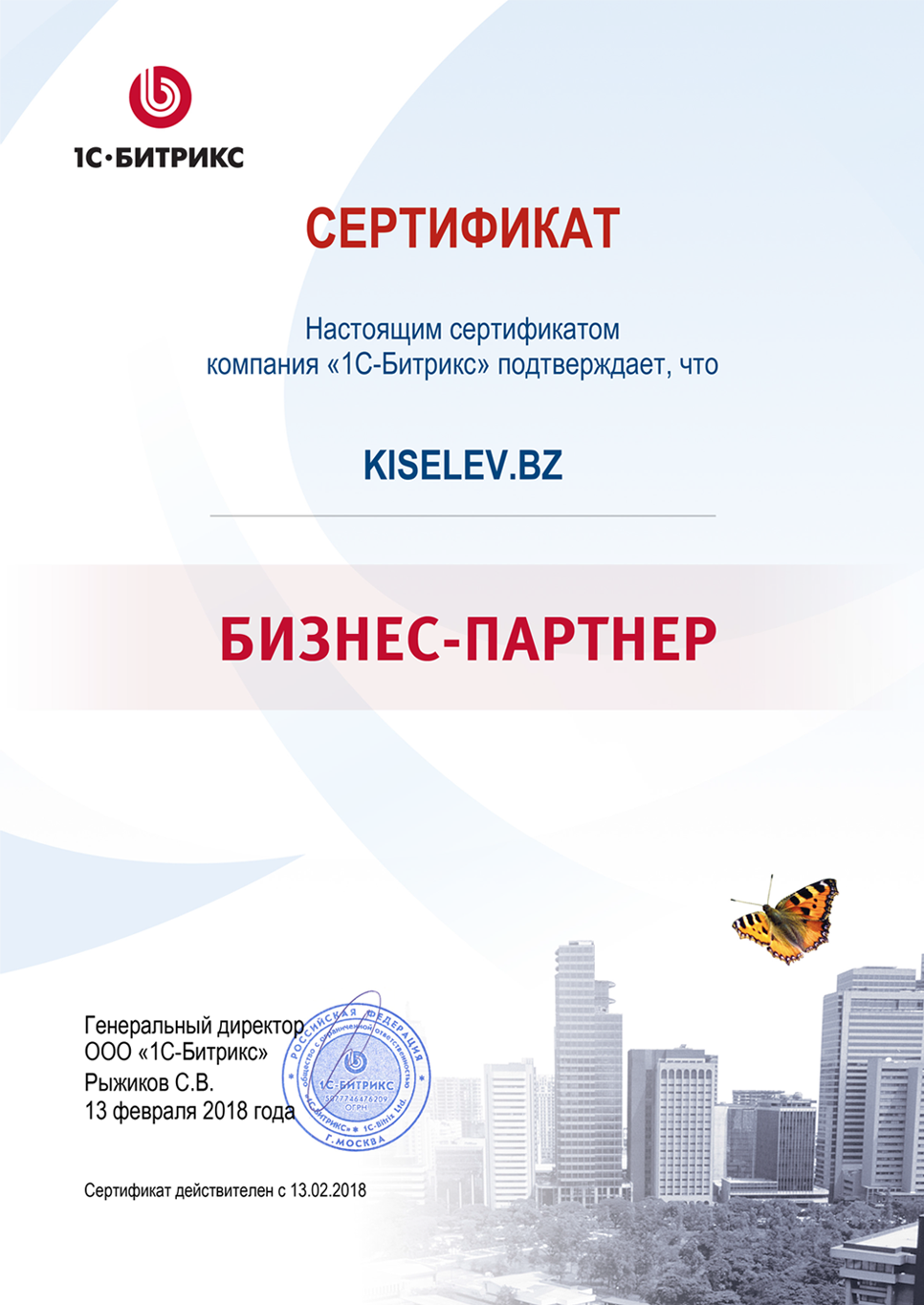 Сертификат партнёра по СРМ системам в Петровом Вале